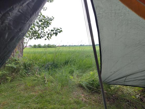 Bild från insidan av ett tält där man ser ut genom öppningen mot ett stort fält och ett träd.