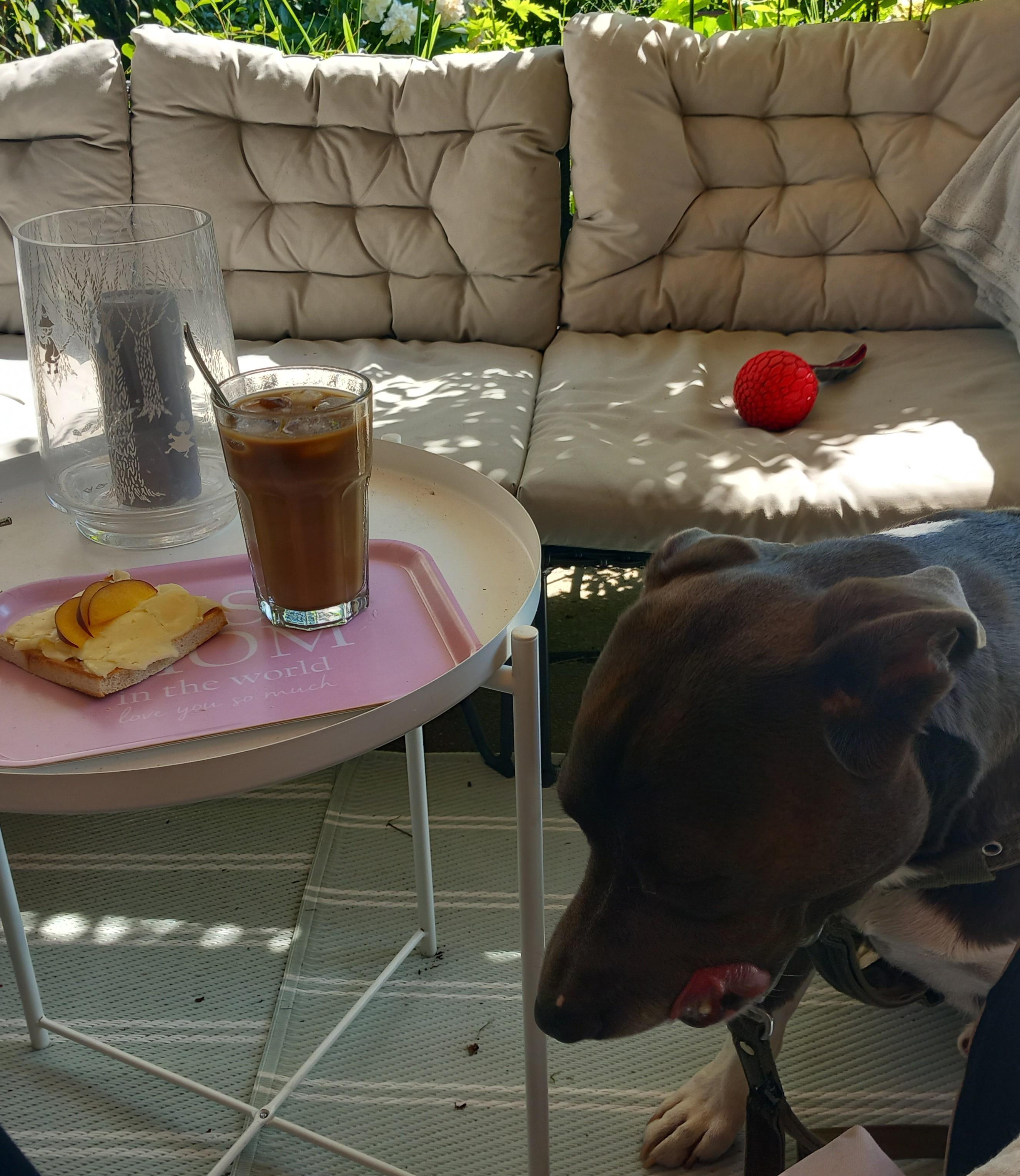 Samma bord och macka, men även en stor brun hund