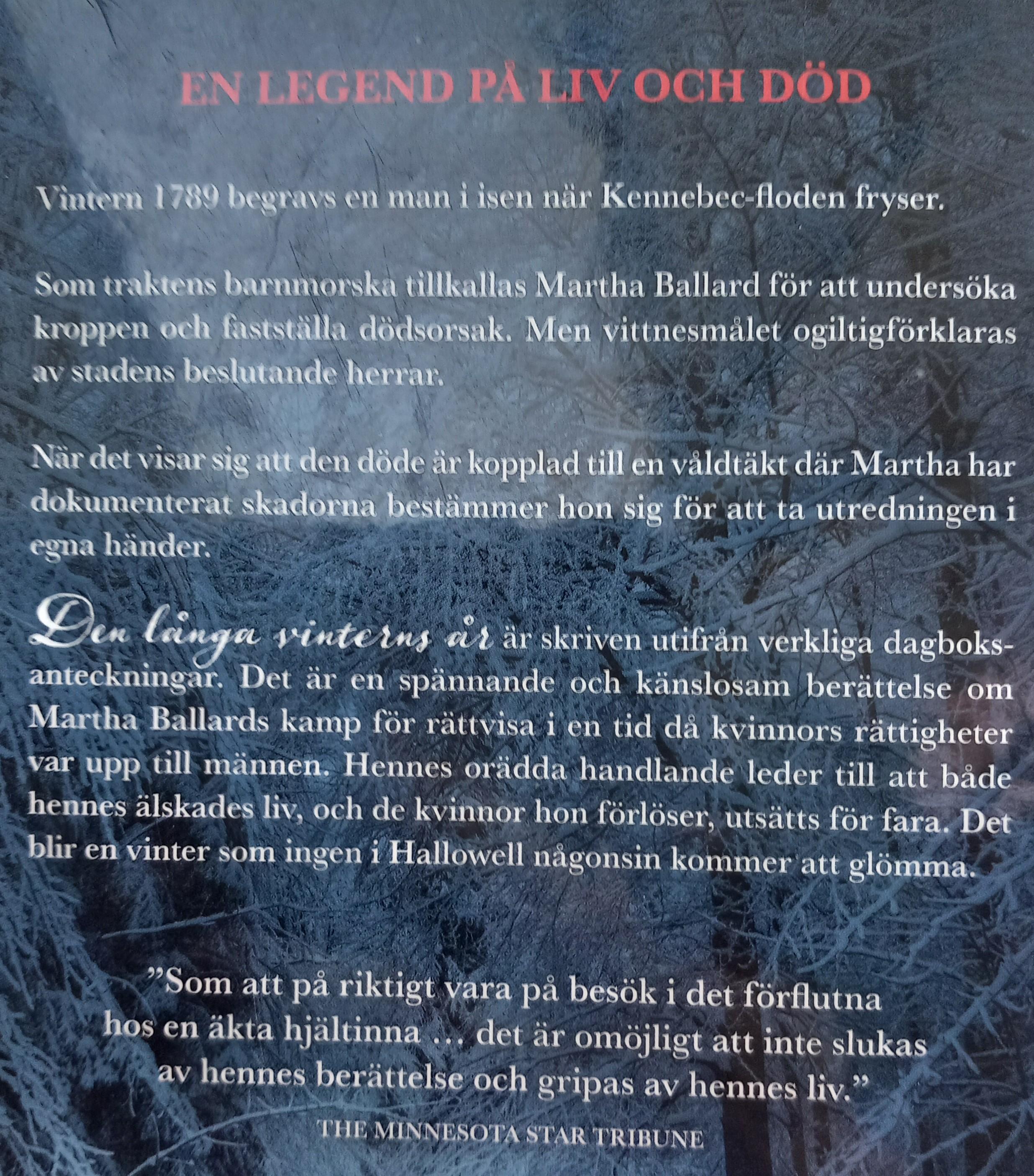 Baksidan av boken med kort beskrivning av handlingen