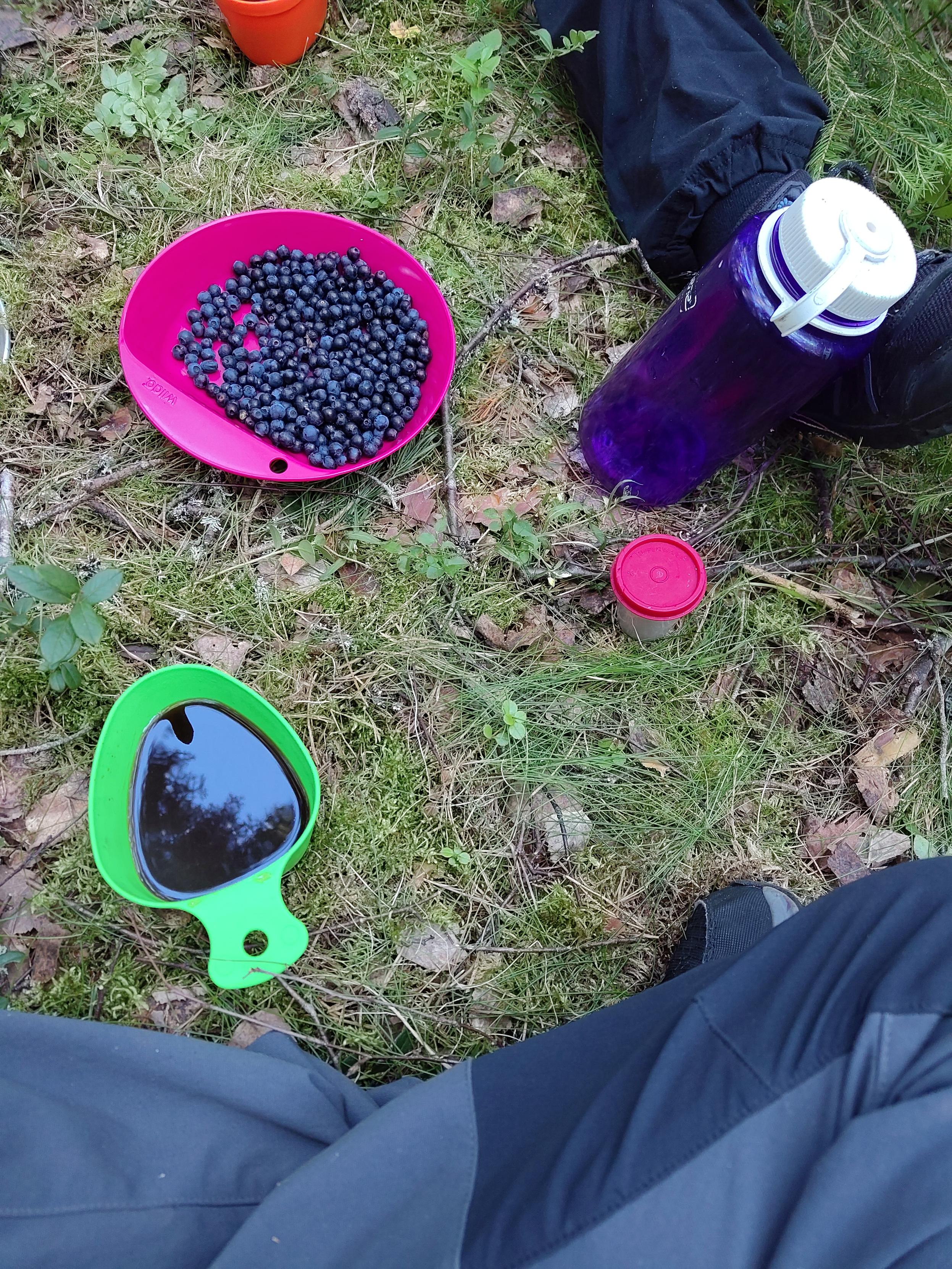 Foto på marken. Man kan se en plasttallrik med blåbär, en grön kåsa med kaffe och en vattenflaska. I bildens kanter ser man olika tygklädda ben.