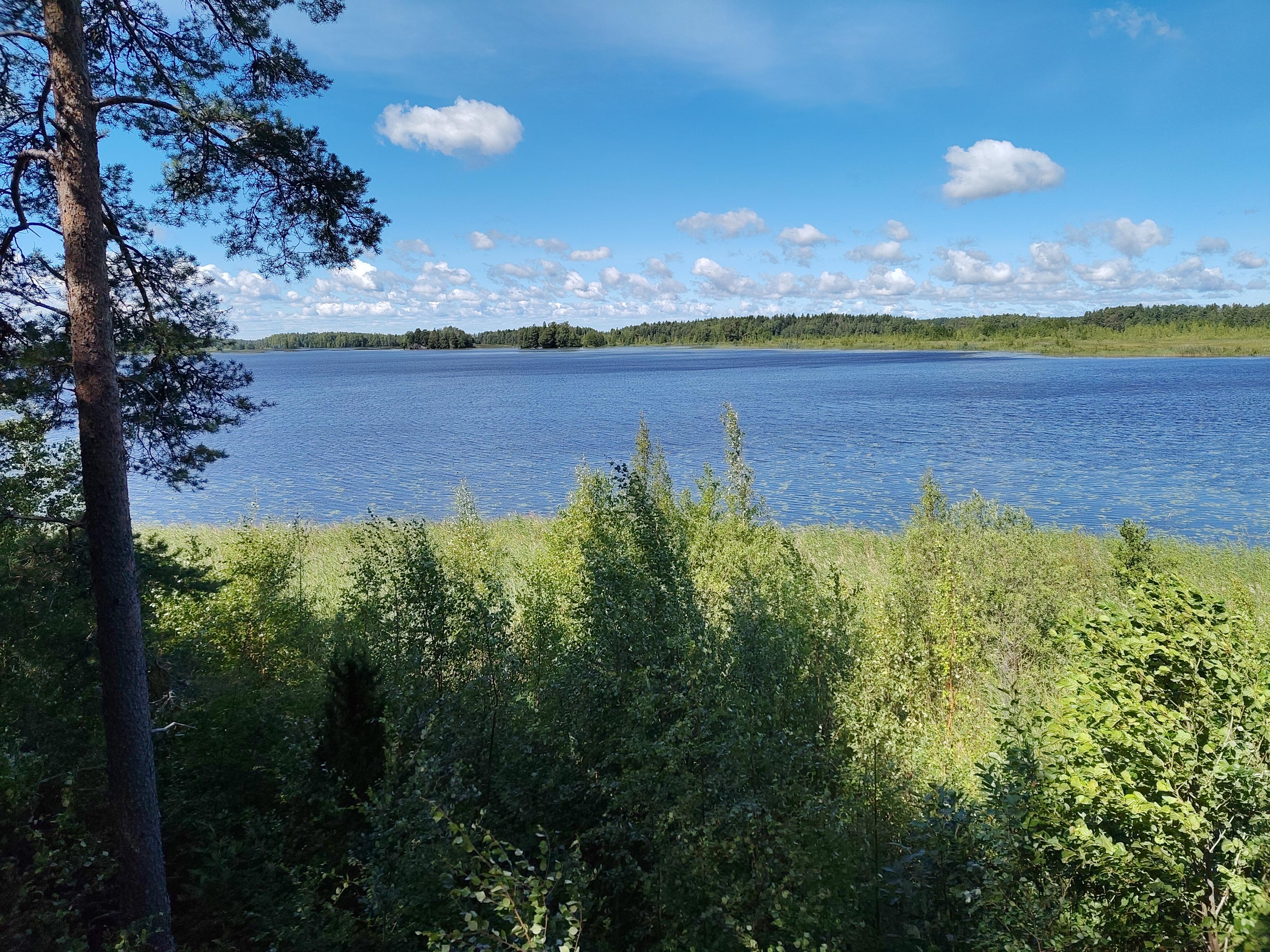 En vy över en älv. Vegetation syns på båda sidor om älven.