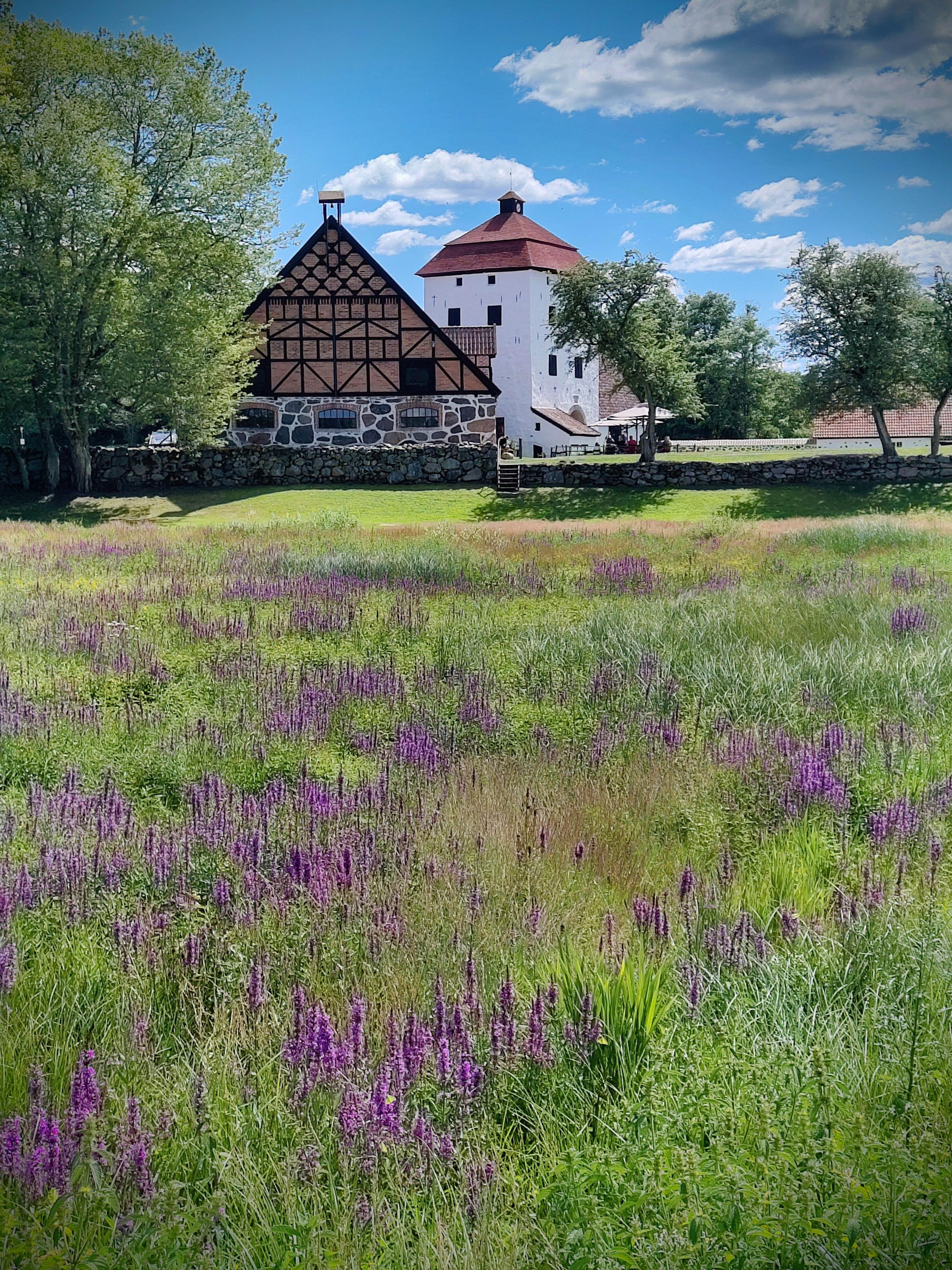 En blomsteräng framför korsvirkeshus