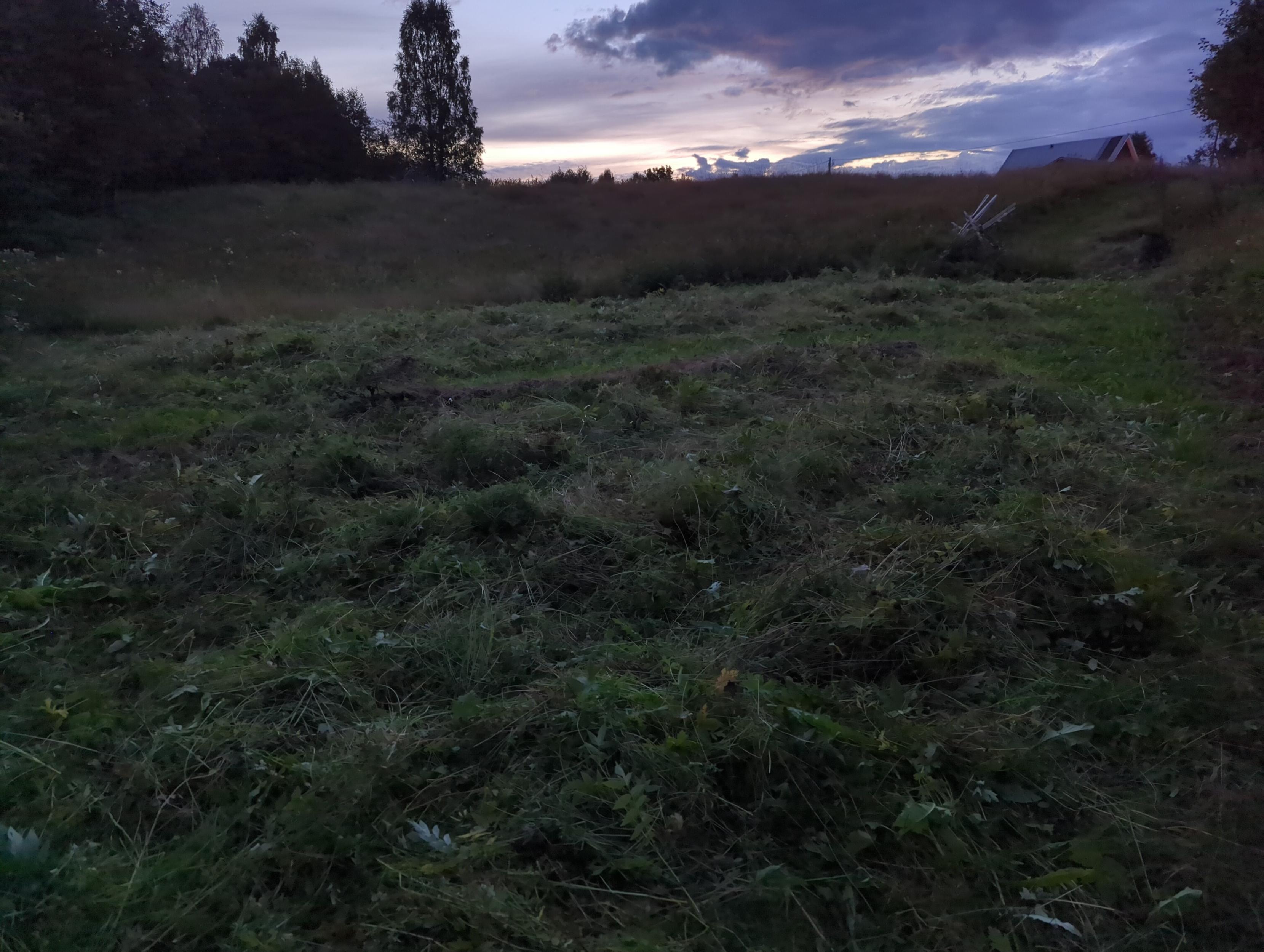 Slsget gräs utspritt på lägda.