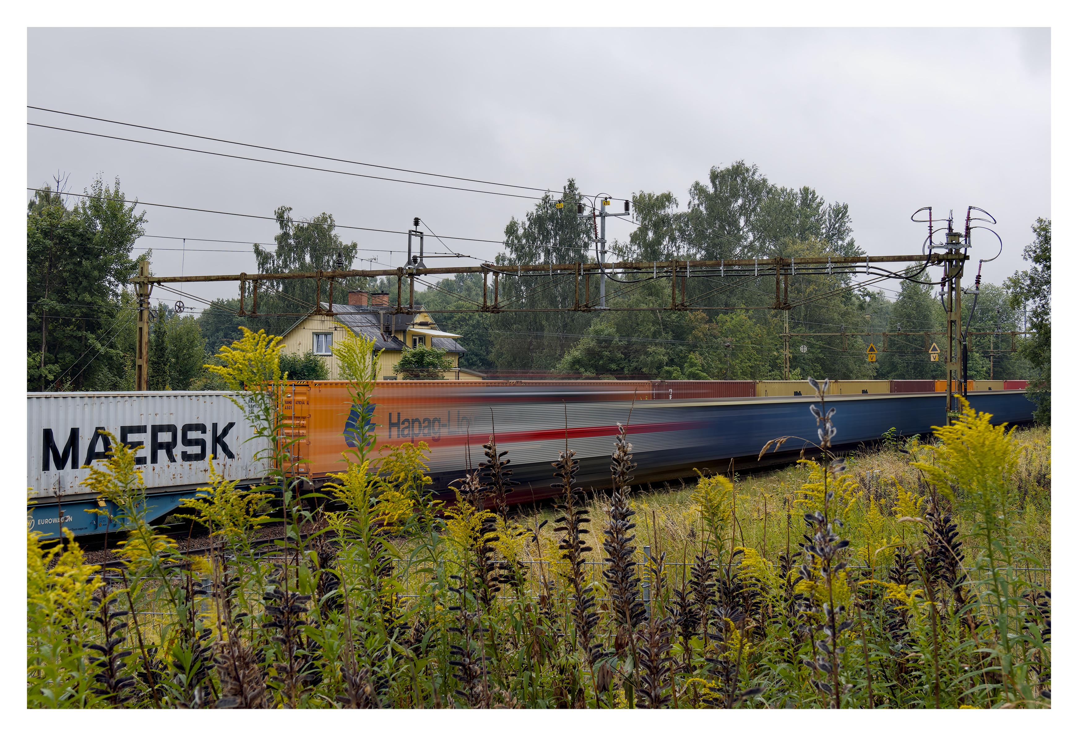 En liggande bild på ett godståg som passerar ett stillastående godståg. Vagnen mest till vänster i det stillastående tåget har texten MAERSK. Nästa är till en del täckt av ett suddigt av farten lok med rött streck på sidan. I förgrunden gula och bruna blommor bland högt gräs. I bakgrunden lövträd och ett gult trähus och en molnig himmel.